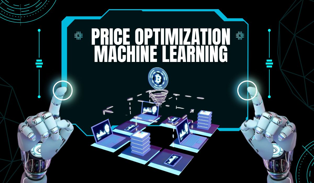 How Price Optimization Machine Learning Drives Business Success