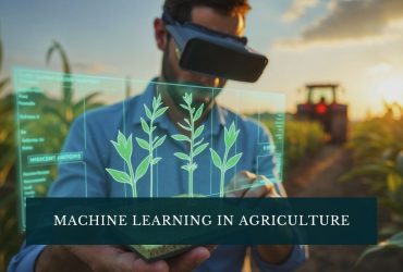 Machine Learning in Agriculture