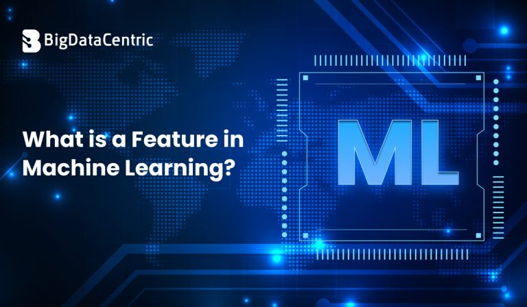 What is a Feature in Machine Learning?