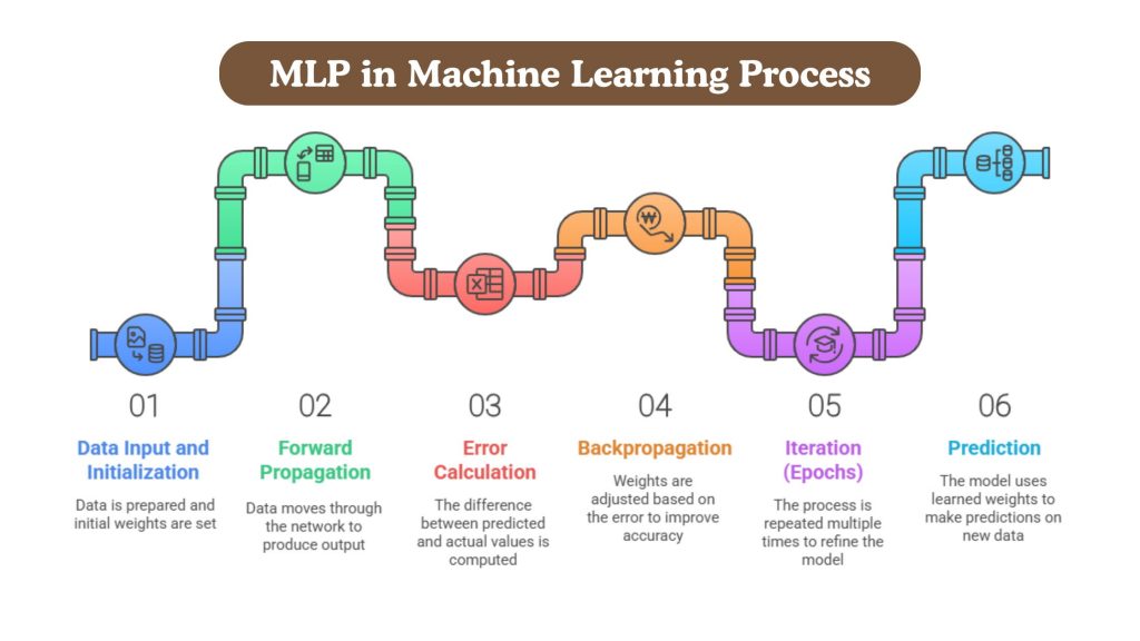 MLP in Machine Learning Process
