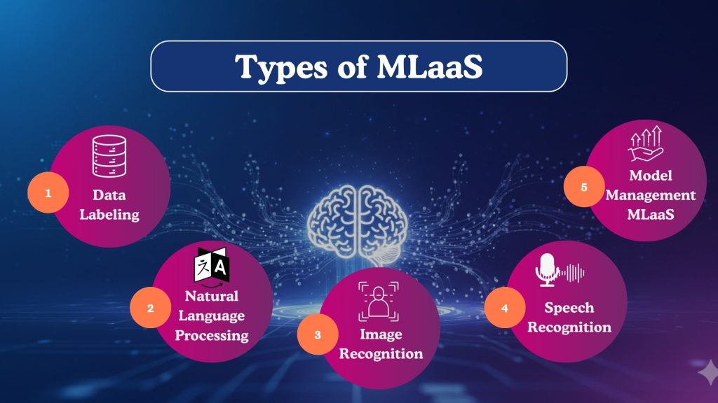 Types of MLaaS