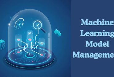Machine Learning Model Management