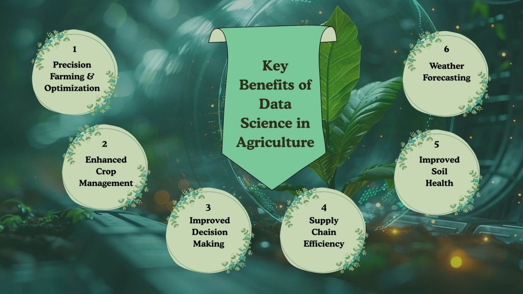 Key Benefits of Data Science in Agriculture