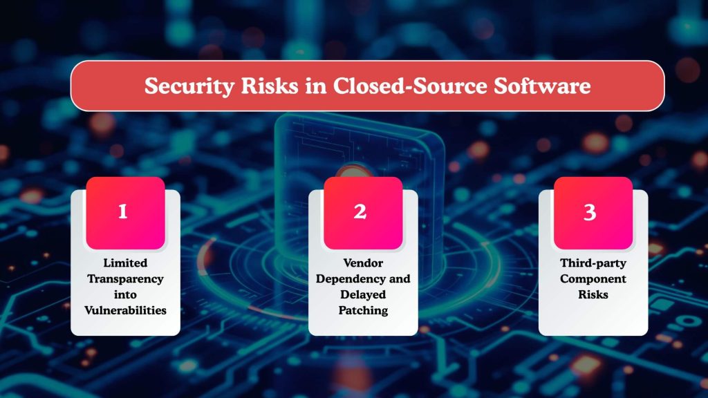 Security Risks in Closed-Source Software