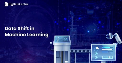 Data Shift in Machine Learning