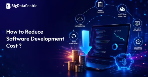 How to Reduce Software Development Cost