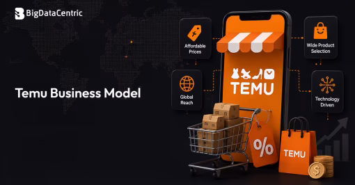 temu business model