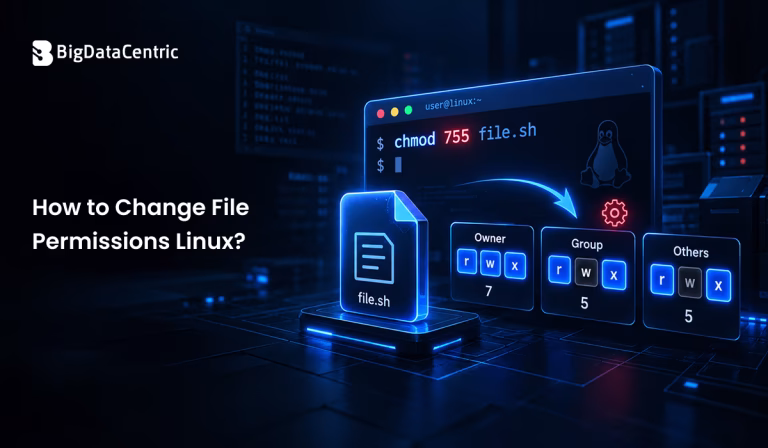 How to Change File Permissions Linux?