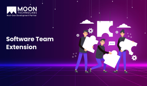Software Team Extension