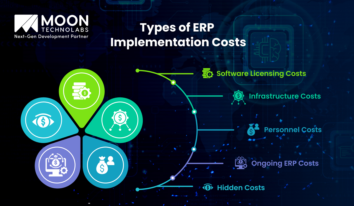 Types of ERP Implementation Costs