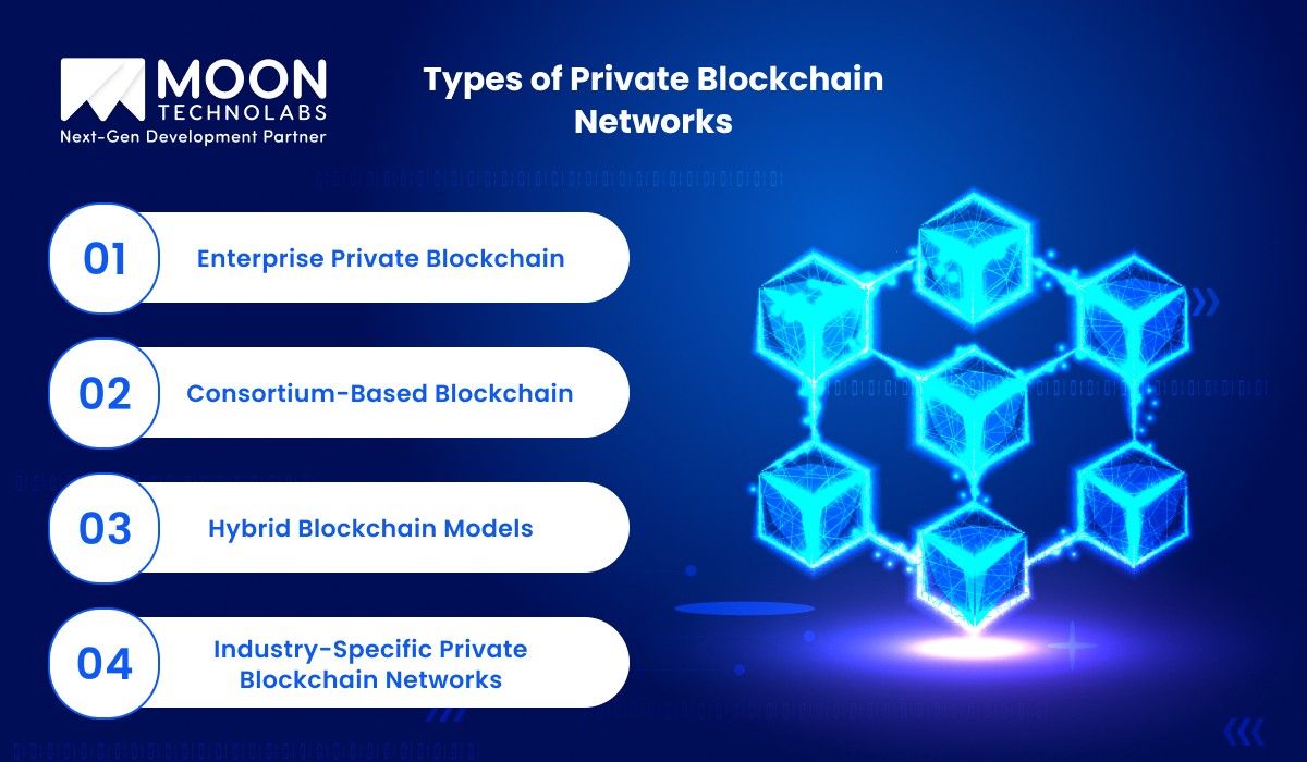 Types of Private Blockchain Networks
