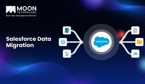 Salesforce Data Migration