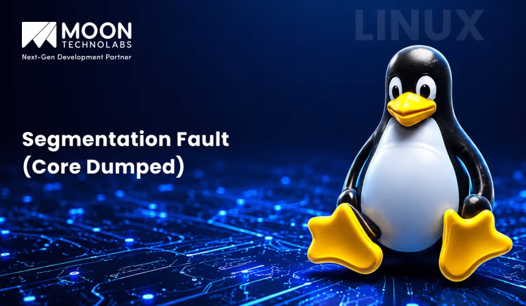 Segmentation Fault (Core Dumped)